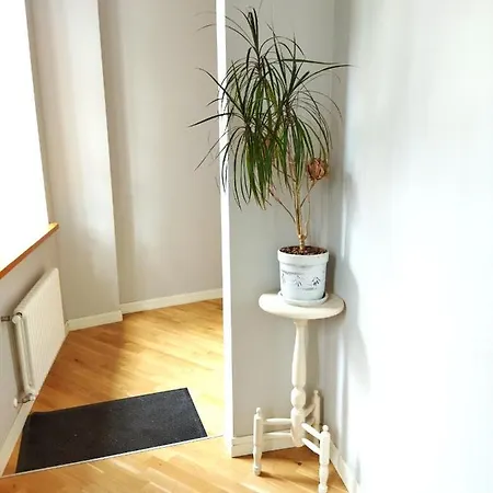 Neat And Cosy *